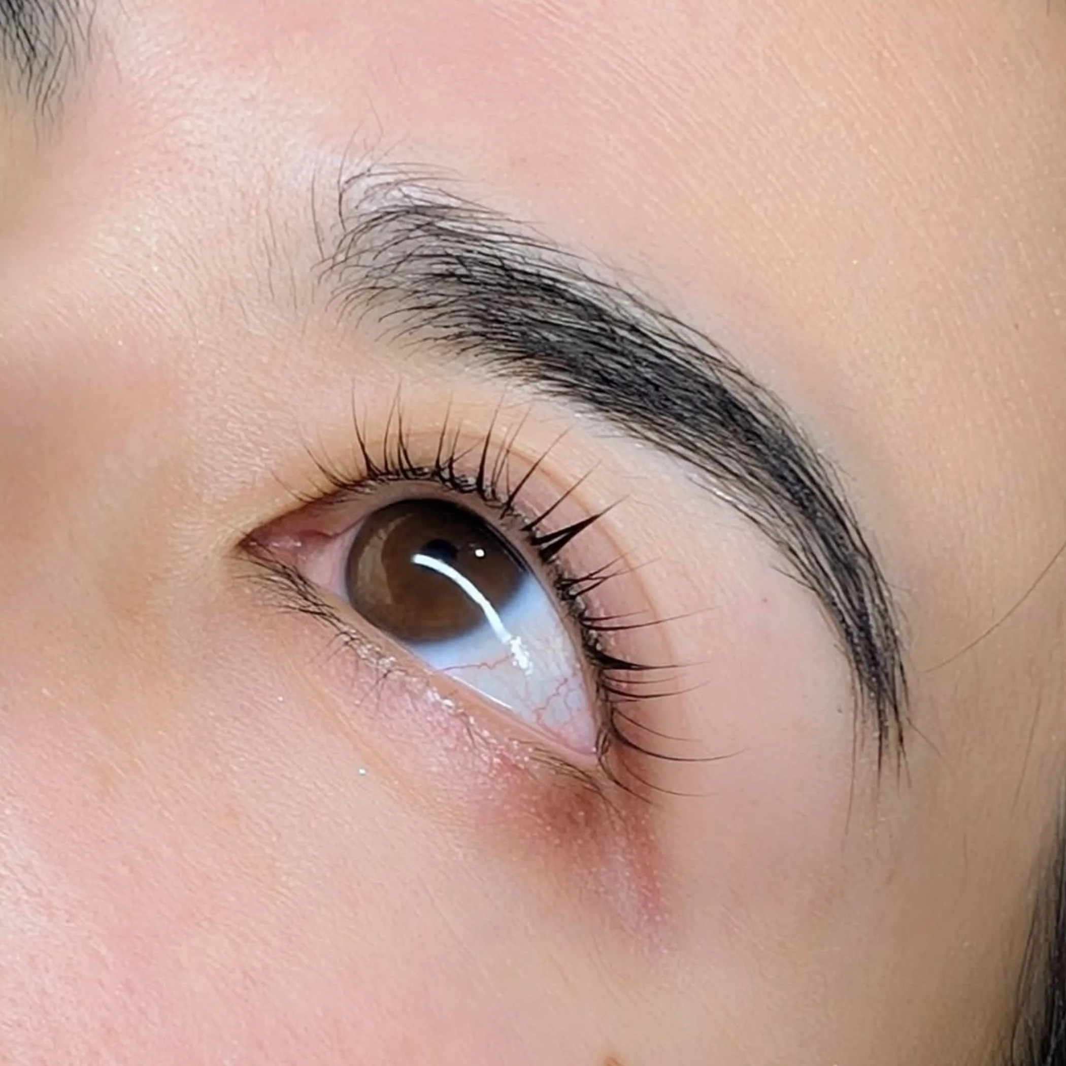 clearly visible eyebrows